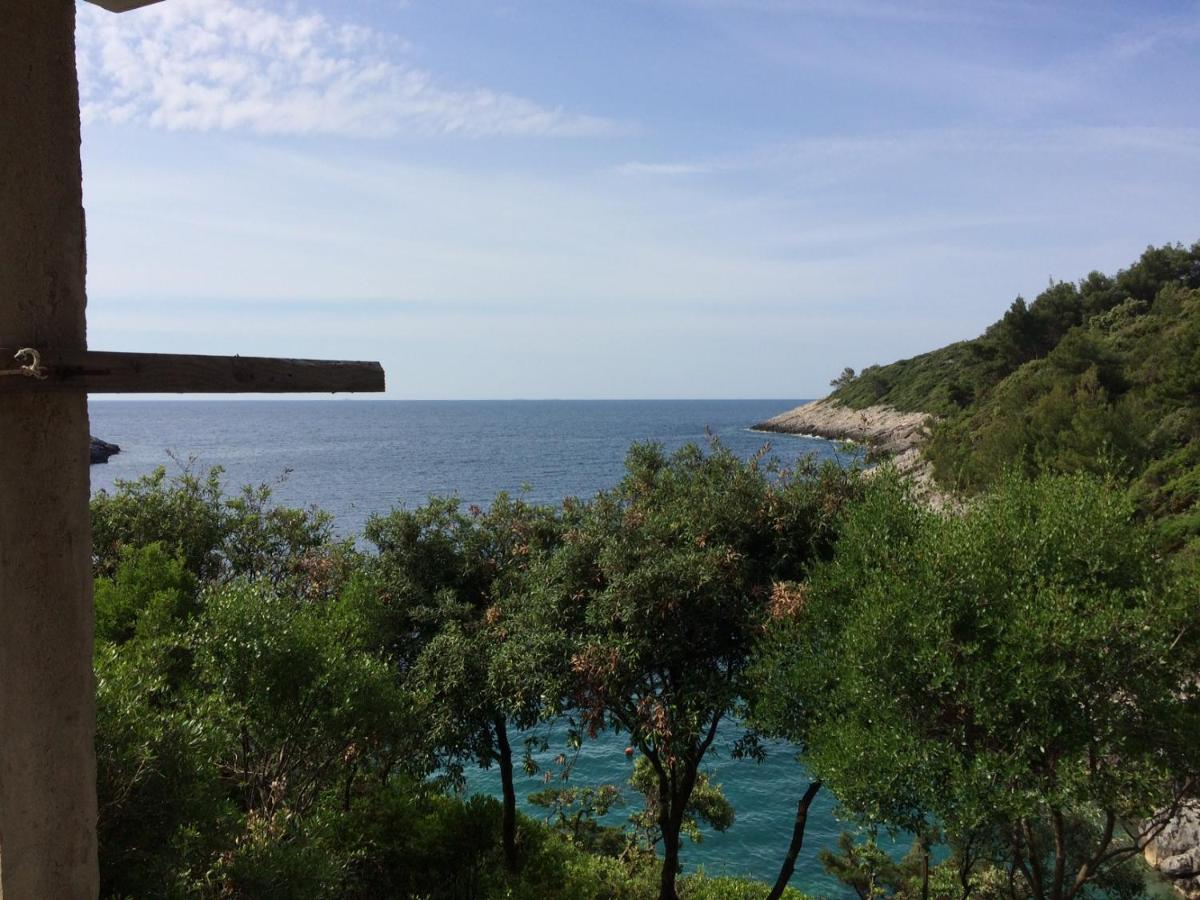 Contessa Robinson House Villa Zrnovo Dış mekan fotoğraf